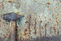 Top view of the old hammer and rusty nails lie in a row on a rusty metal background. Conceptual photo. Royalty Free Stock Photo