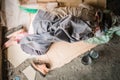 Top view of old homeless man wearing sweater and blanket sleeping on cardboard seeking help because hungry and food beggar from