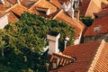 Top view of old orange roofs of houses with chimneys, antennas and climbing green vines of grapes. Royalty Free Stock Photo