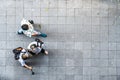 Top view of old people walk on pedestrian concrete grey block street pavement