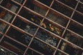 Top view of old and rusty metal covered on street drain hose. Rust metal texture background. Salt water accelerates rust. Surface Royalty Free Stock Photo