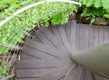 Top view of old, vintage and grunge wooden ladder or stairway in spiral and round shape with beautiful surface texture. It shows