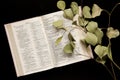 Top view An open Bible with a sprig of leaves on a dark background