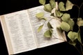 Top view An open Bible with a sprig of leaves on a dark background