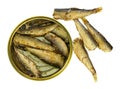 Top view of an opened tin of canned smoked sprats