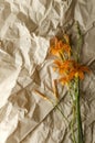 Top view of orange lilies on the craft wrapping paper.Empty space.Vertical image