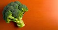 top view of an orange tabletop with a juicy green broccoli on the left side of the picture