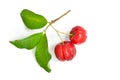 Top view of Organic acerola cherry Royalty Free Stock Photo