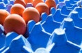 Top view on organic eggs sitting in blue cardboard egg rack with some sockets empty Royalty Free Stock Photo