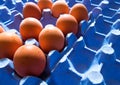 Top view on organic eggs sitting in blue cardboard egg rack with some sockets empty Royalty Free Stock Photo