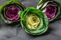 Top view of ornamental cabbages Royalty Free Stock Photo