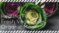 Top view of ornamental cabbages with white, pink, and green leaves. Healthy food, fresh vegetables, organic meal Royalty Free Stock Photo