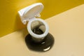 Top view of an overflowing toilet. Royalty Free Stock Photo