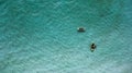 Top view paddleboards on a sunny day.