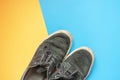 Top view of pair canva sneaker shoes isolated on double color surface f