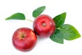 Top view pair red apples isolated with leaf