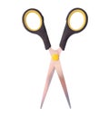 Top view of a pair of small multipurpose scissors with black handle isolated on white background with clipping path