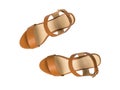 Top view of a pair of women`s sandals isolated on a white background. The view from the top.