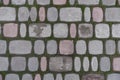 Top view of pink pavement with moss in joints