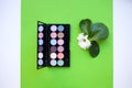 Top view Palette of pastel multicolor cosmetic make up, eye shadow palette, colorful shadows texture on green background Royalty Free Stock Photo