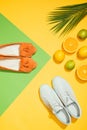 top view of palm leaf, stylish female slippers shoes and sneakers, lemons, limes and slices Royalty Free Stock Photo