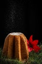 Top view of pandoro with falling sugar with green branches and poinsettia, black background, vertical,