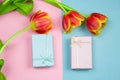 pastel pink and blue gift boxes and red tulips on a pink and blue background, springtime festive flat lay Royalty Free Stock Photo