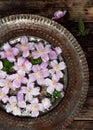 Top view of pastel pink clematis flowers in a vintage metal bowl with water. Flower, plants or healthy and relaxing concept. Royalty Free Stock Photo