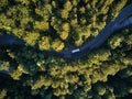 Top view of the path through the trees. View from balloon. Road view from above taken by quadrocopter