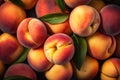 Top view peach background.