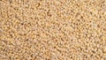 TOP VIEW: Pearl barley background Royalty Free Stock Photo