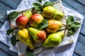 Top view of pears arrangement Royalty Free Stock Photo