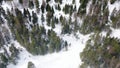 Top view of people lost in forest in winter. Footage. Group of active tourists got lost in dense coniferous forest on