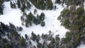 Top view of people lost in forest in winter. Footage. Group of active tourists got lost in dense coniferous forest on