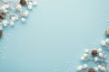Top View Photo Of Christmas Decorations Snow Branches With Pine Cones On Isolated Pastel Blue Background With Copyspace