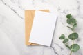 Top view photo of craft paper envelope paper sheet and eucalyptus on white marble background with blank space