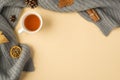 Top view photo of cup of tea brown autumn leaves cinnamon sticks pine cones anise and dried citrus slice on grey scarf on isolated Royalty Free Stock Photo