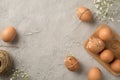 Top view photo of easter decorations brown easter eggs white gypsophila flowers spool of twine and wooden egg holder on isolated Royalty Free Stock Photo