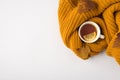 Top view photo of orange sweater yellow autumn leaves and cup of tea with lemon on isolated white background with copyspace Royalty Free Stock Photo