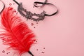 Top-view photo of sensual tools lace mask, feather tickler, confetti on pastel pink background, space for text Royalty Free Stock Photo