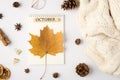 Top view photo of white sweater yellow autumn maple leaf on planner with inscription october pine cones dried lemon slices
