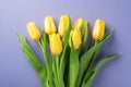 Top view photo of woman`s day composition bunch of yellow tulips on isolated pastel purple background