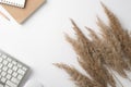 Top view photo of workplace keyboard computer mouse notepads pencil and reed flowers on isolated white background with copyspace