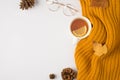 Top view photo of yellow knitted scarf cup of tea with lemon yellow autumn mulberry leaves pine cones and stylish glasses on Royalty Free Stock Photo