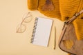 Top view photo of yellow sweater brown autumn leaves leather handbag stylish glasses golden pen and spiral notebook on isolated Royalty Free Stock Photo