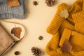 Top view photo of yellow sweater grey knitted scarf leather handbag autumn brown leafage anise and pine cones on isolated light