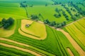 Top View photography of green fields with trees and a path generated by Ai