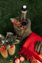 Top view of a picnic setting with thermos flask on a stump, hiking boots with autumn berries, red plaid, cones.