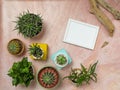 Top view of picture frame mockup with cactus, rocks, sea shelves and summer decorations on pink sandy table Royalty Free Stock Photo