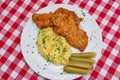 Top view picture of the homemade gluten free deep fried chicken schnitzel. Royalty Free Stock Photo